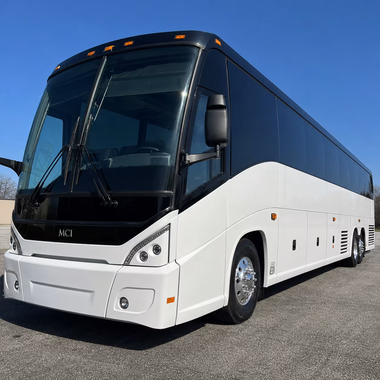 boulder charter bus tours to rocky mountain national park and yellowstone national park